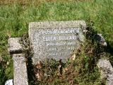 image of grave number 19955